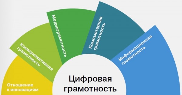 Цифровая грамотность пожилых людей