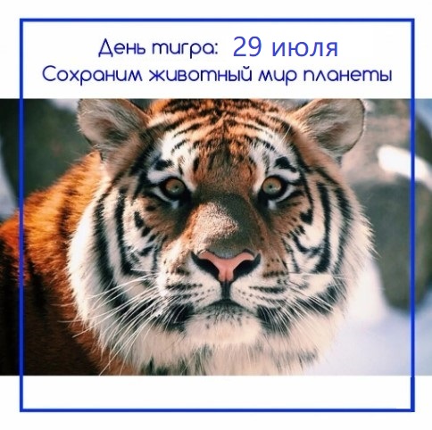 «День тигра: сохраним животный мир планеты»