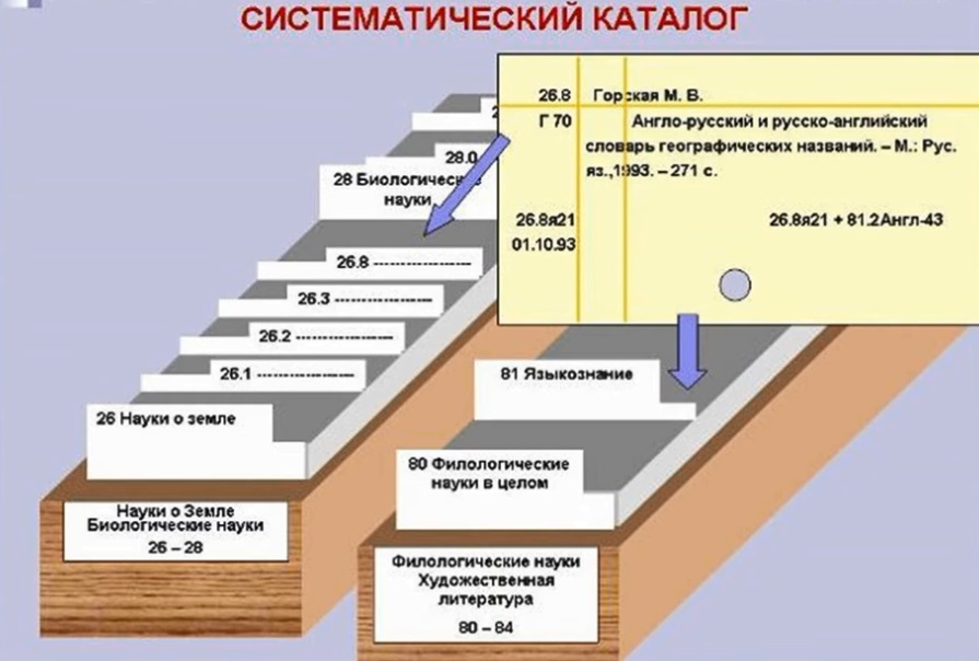 Картотека книг в библиотеке образец